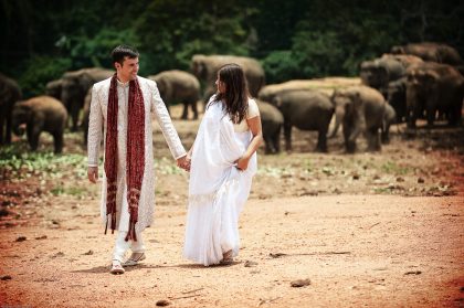 Wedding Celebration, Happy Couple, Portfolio View 76 – Wedding Photography